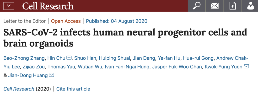 Cell Research | 黄建东团队首次发现新型冠状病毒感染人神经祖细胞和类脑器官的证据
